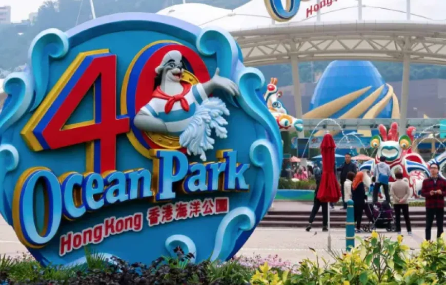 Hongkong Ocean Park  2Days / 1 Night Tour