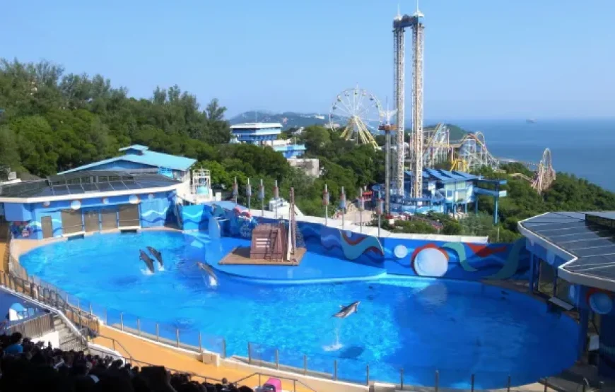 Hongkong Ocean Park  2Days / 1 Night Tour