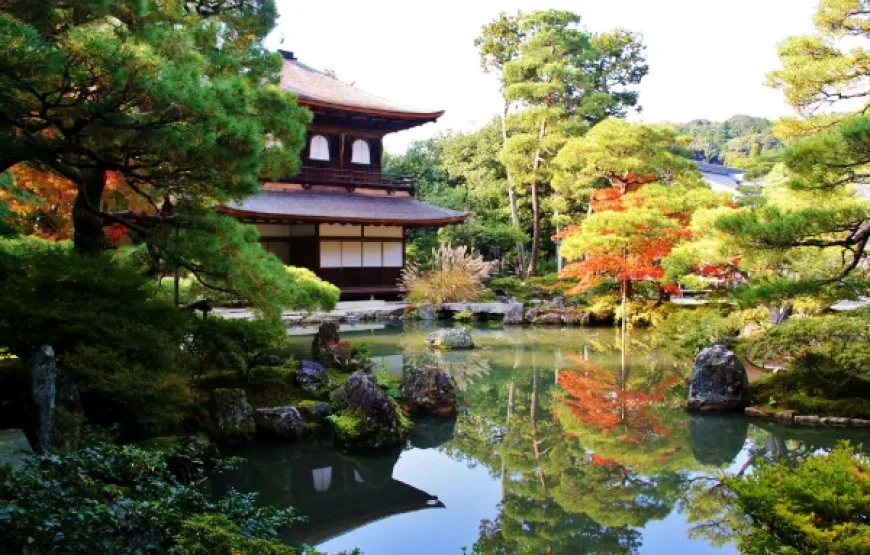 Osaka/Kyoto/Nara 5 Days 4 Nights Japan Tour