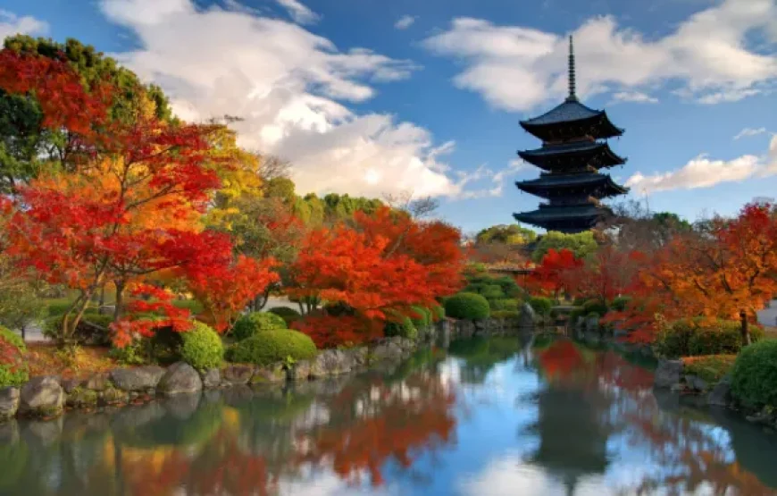 Osaka/Kyoto/Nara 5 Days 4 Nights Japan Tour